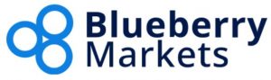 blueberry markets