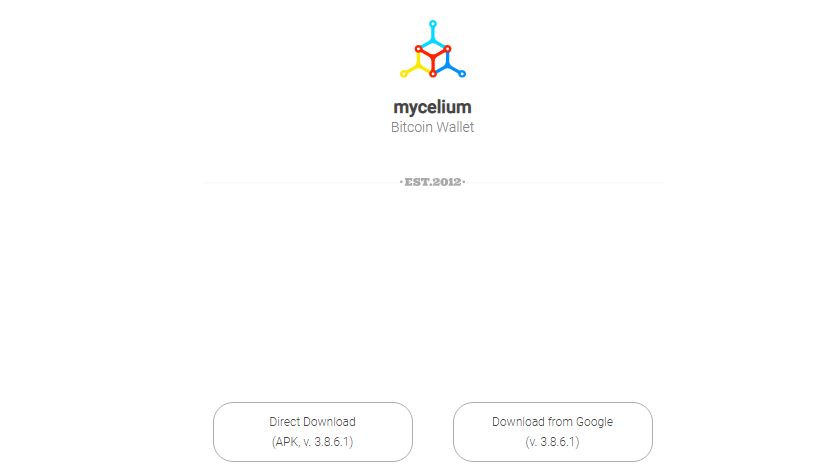Ví Mycelium là gì?