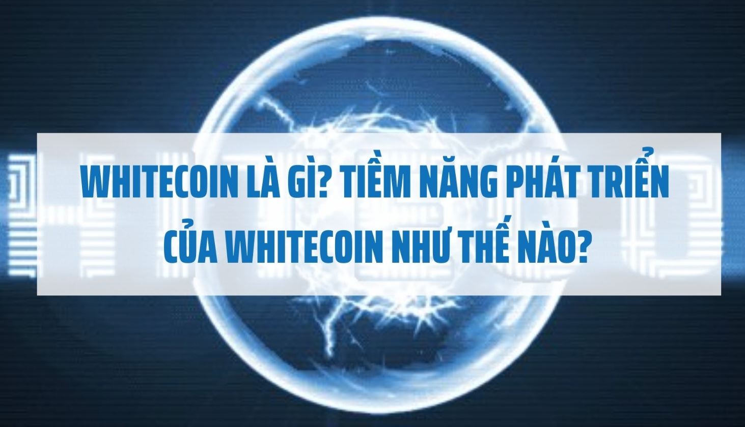 whitecoin la gi