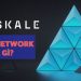 SKALE Network là gì? Dự đoán chi tiết giá tiền điện tử SKL