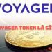 Voyager Token là gì? Dự đoán chi tiết giá tiền điện tử VGX