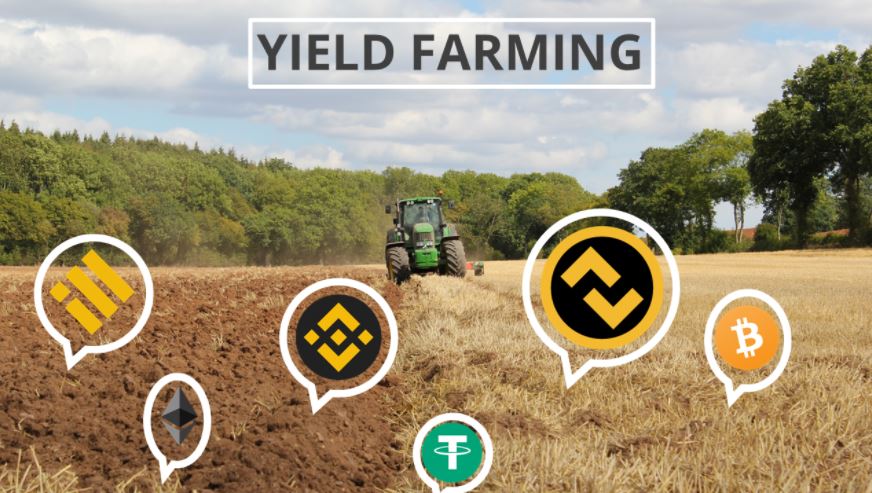 Yield Farming là gì?