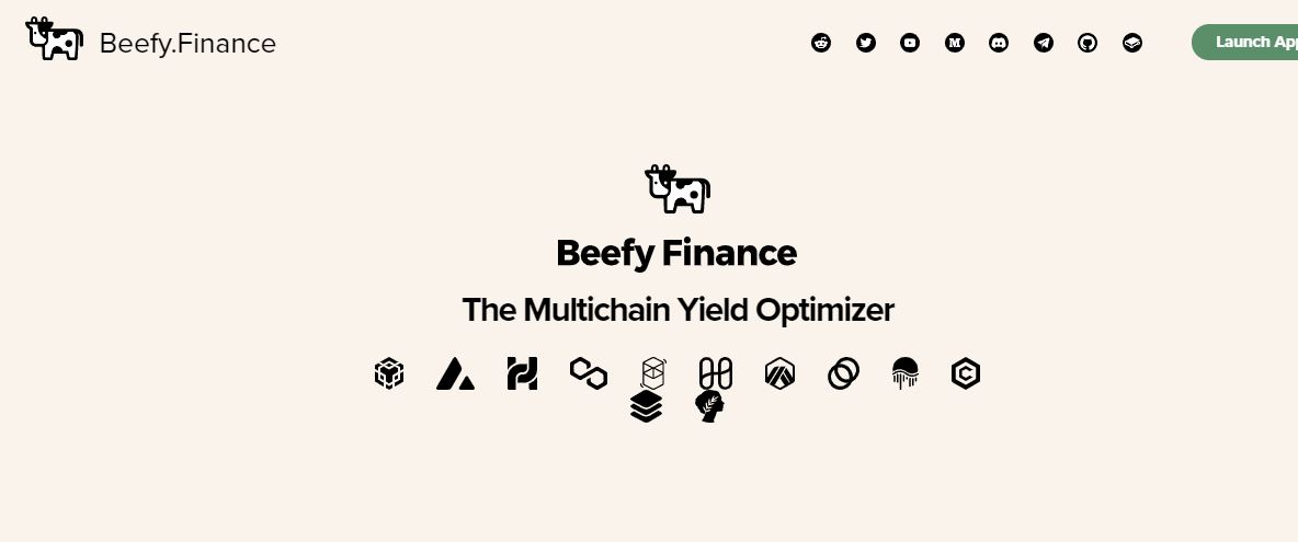 Beefy Finance là gì?