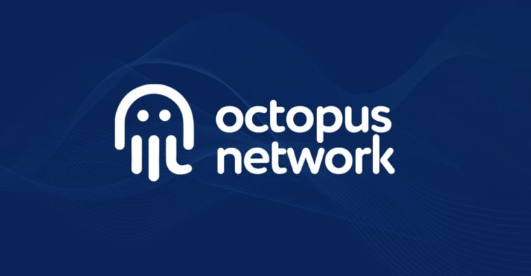 Octopus Network là gì?
