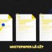 Whitepaper là gì? Bản White Paper của một dự án ICO cần có những gì?