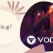 Vodra là gì? Thông tin chi tiết dự án phi tập trung Vodra