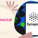 Synapse Protocol là gì? Thông tin chi tiết dự án Synapse Protocol