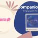 Companion là gì? Thông tin chi tiết về tiền điện tử CMPN 14 Companion là gì? Thông tin chi tiết về tiền điện tử CMPN