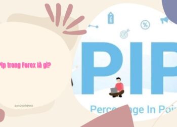 Pip trong Forex là gì? – Hiểu những điều cơ bản