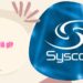 Syscoin là gì? Thông tin chi tiết về tiền ảo Syscoin