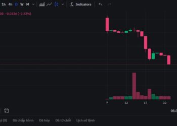 Listing ORDER – Ngày 23 tháng 8, 2024