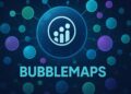 Bubblemaps là gì? Công cụ trực quan hóa dữ liệu blockchain